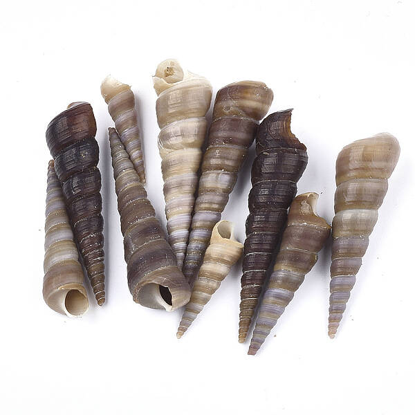 Spiral Shell Beads