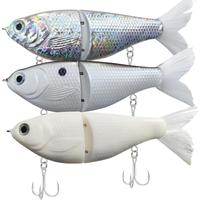 Lure Slow Sinking Glide Bait with  Tail Lifelike Fishing Tackle for Trout Shad Bass Musky