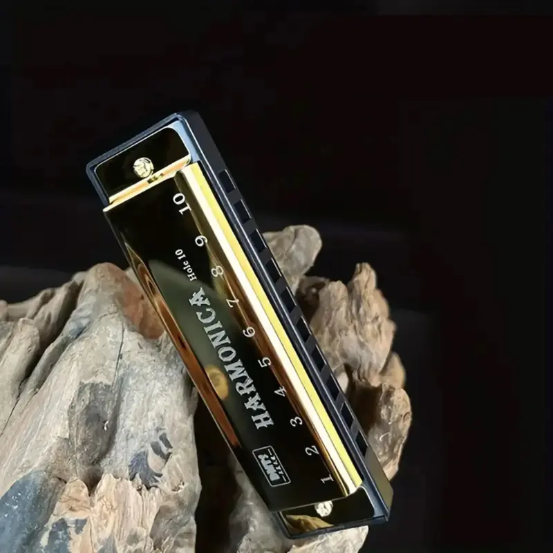 Travel 10 Holes Harmonica for Beginner, Professional Blues Harmonica for Beginner, Fun Toys for Boys, Musical Instruments & A...