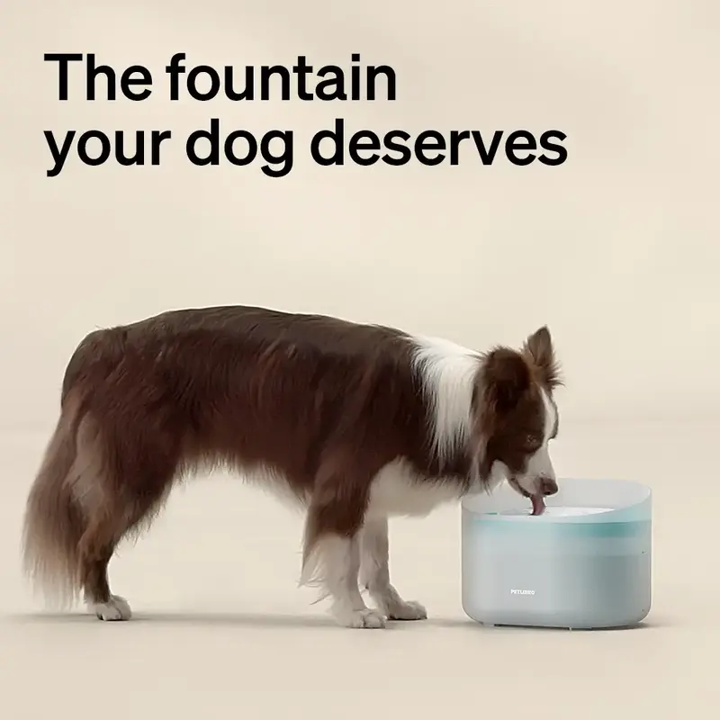 PETLIBRO Dog Water Fountain: 2.1Gal automatic dispenser for medium to large dogs, anti-splash design, ultra-quiet, and easy t...