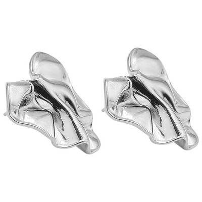 Irregular Shape Stainless Steel Stud Earrings