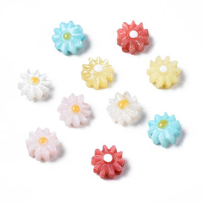 Natural Freshwater Shell Beads