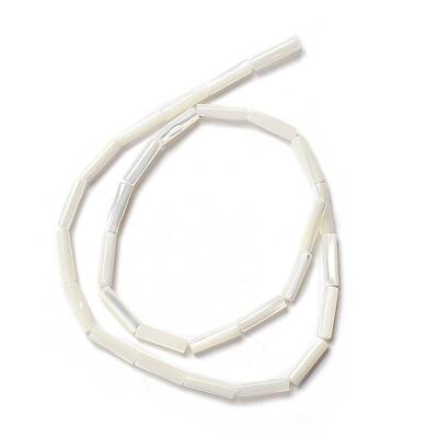 Natural Trochid Shell/Trochus Shell Beads