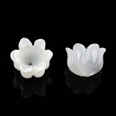 Natural White Shell Bead Caps