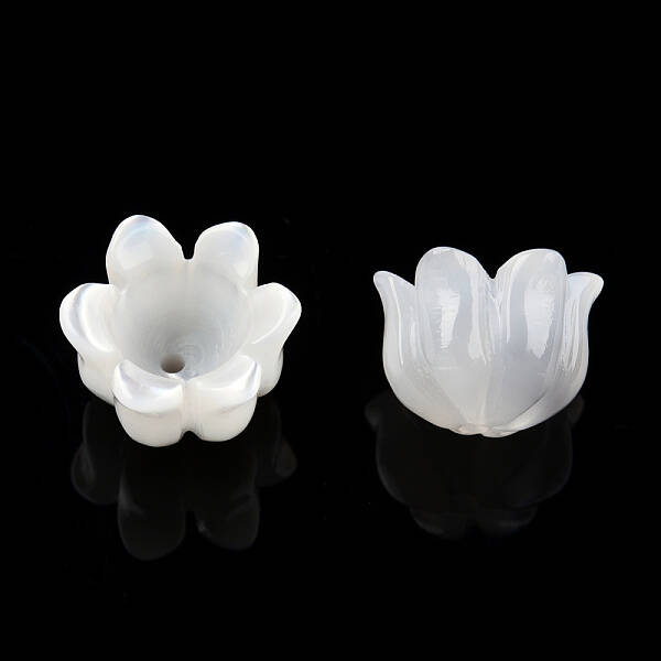 Natural White Shell Bead Caps