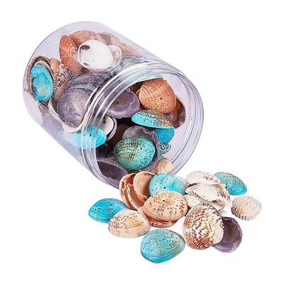 Dyed Natural Shell Beads