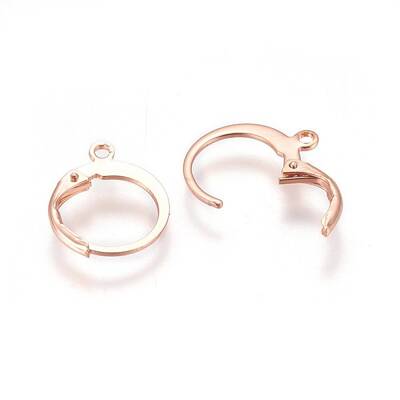 304 Stainless Steel Leverback Earring Findings