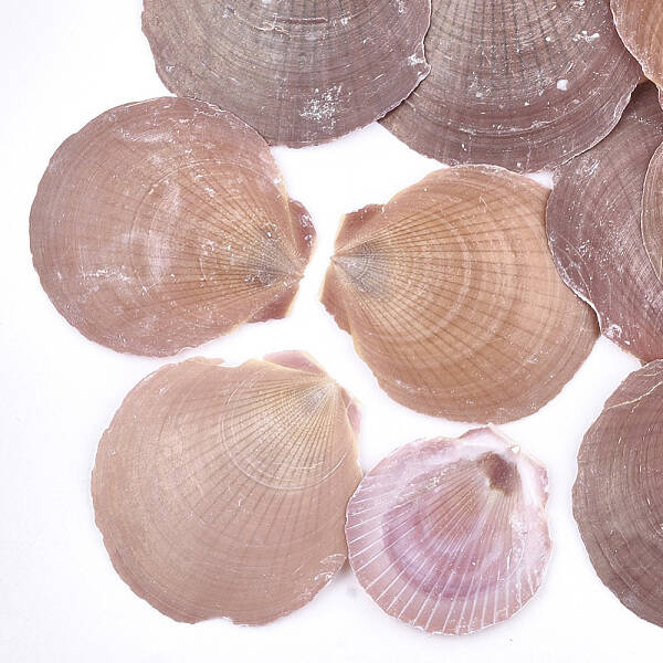 Shell Beads