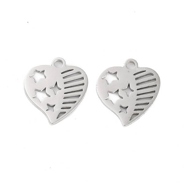 Non-Tarnish 316 Stainless Steel Charms