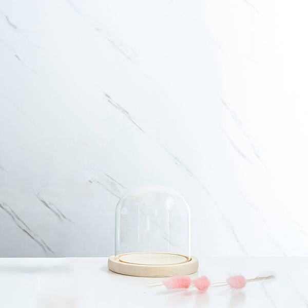 Glass Dome Cover