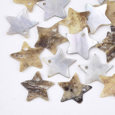 Natural Akoya Shell Charms