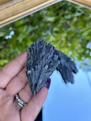 Amityville Apothecary Black Kyanite for Protection
