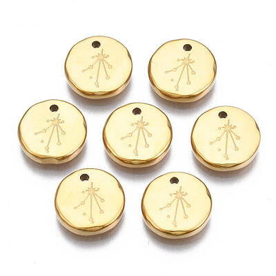 316 Surgical Stainless Steel Charms