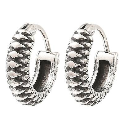 316 Surgical Stainless Steel Hoop Earrings
