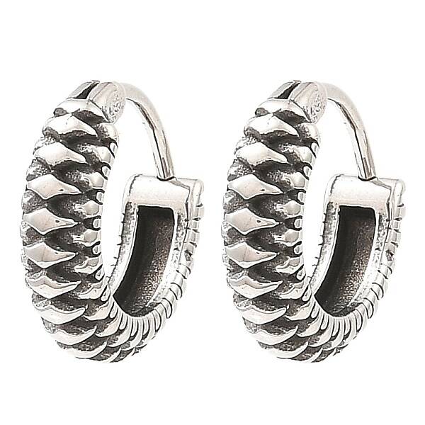 316 Surgical Stainless Steel Hoop Earrings