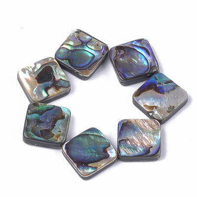 Abalone Shell/Paua Shell Beads