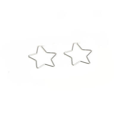 Tarnish Resistant 201 Stainless Steel Hoop Earrings