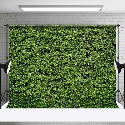Green Natural Plant Spring Backdrop For Photograhy - Aperturee