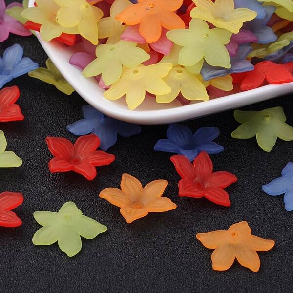 Mixed Color Dyed Transparent Frosted Acrylic Flower Beads