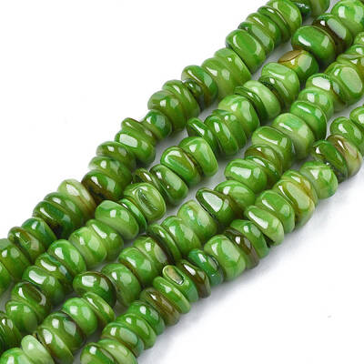 Natural Trochid Shell/Trochus Shell Beads Strands