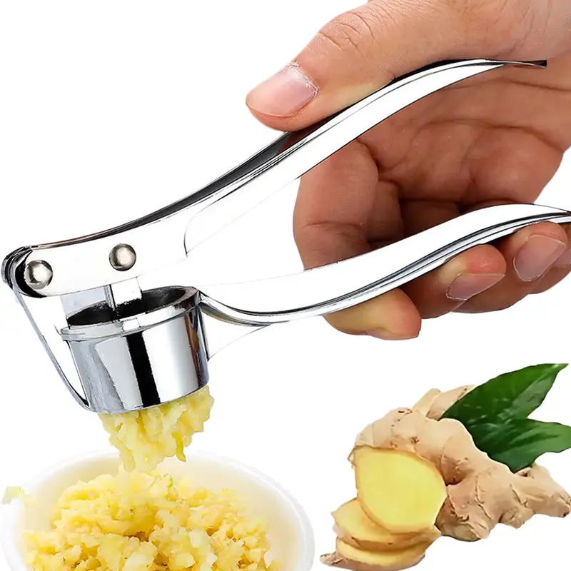 Garlic Press, Manual Simple Garlic Mincer, Professional Garlic Masher for Home Kitchen, Kitchen Accessories