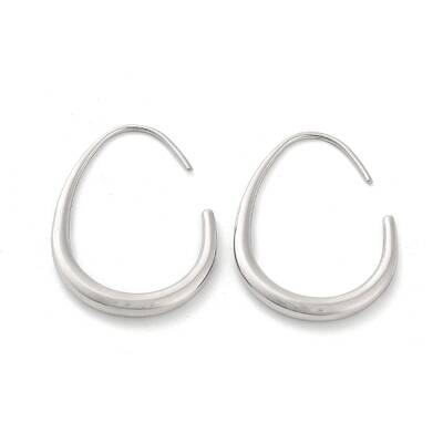 Non-Tarnish 304 Stainless Steel Dangle Earrings