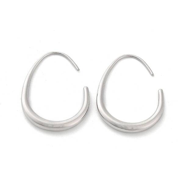 Non-Tarnish 304 Stainless Steel Dangle Earrings