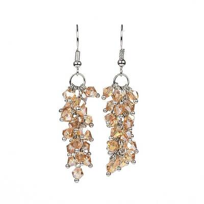 Glass Dangle Earrings