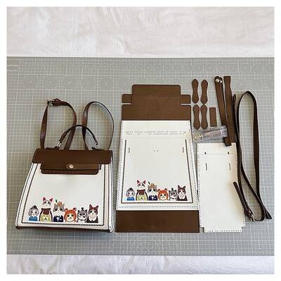 DIY Cartoon Cat Crossbody Bags Set