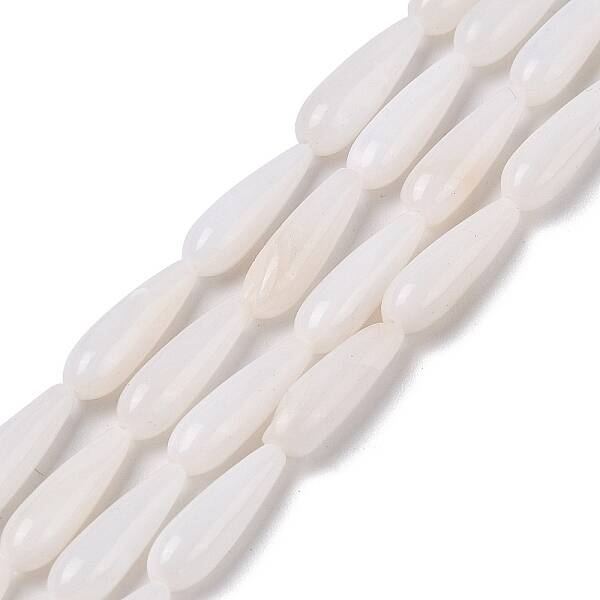 Natural Freshwater Shell Beads Strands