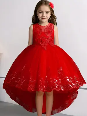 Girl's Contrast Sequin Appliques High Low Hem Tulle Party Dress, Elegant Sleeveless Round Neck Fit & Flare Tutu Dress for Par...