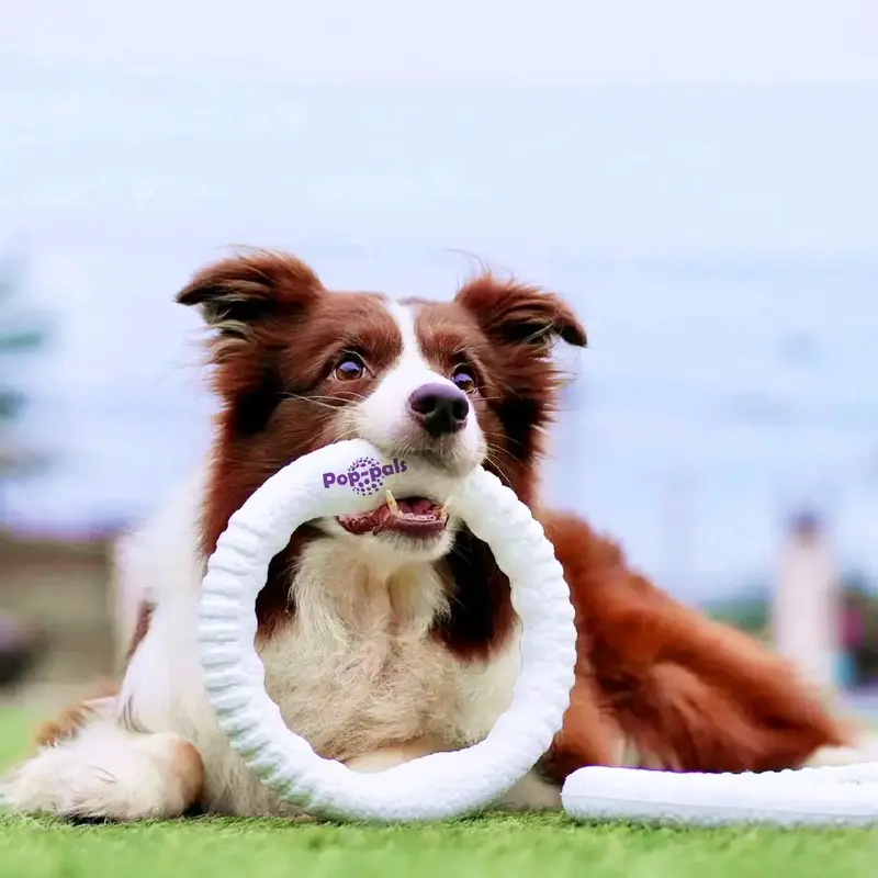 Mogorila Elastic Dog Ring toy, Natural Rubber Ring Toy for Healthy Chewing Habits - Chew Toy Supports Dog Dental Health train...