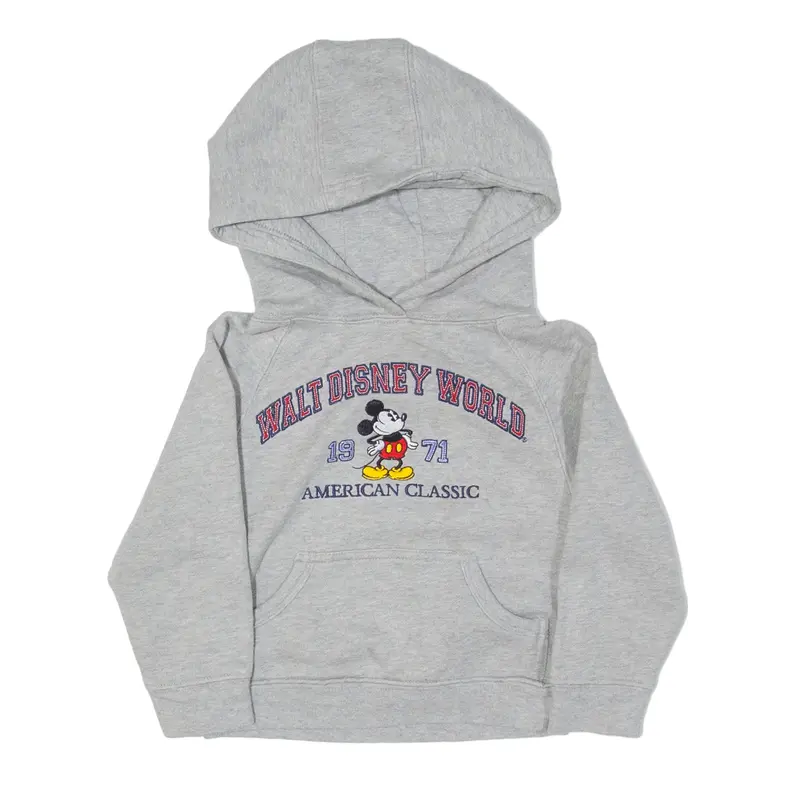 DISNEY World Kids Hoodie Grey Pullover Boys XXS