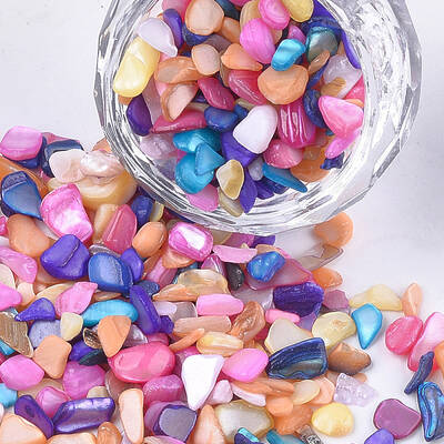 Shell Beads