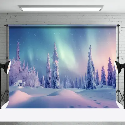 Aperturee Enchanting Winter Wonderland With Minsk Sky Backdrop - Aperturee