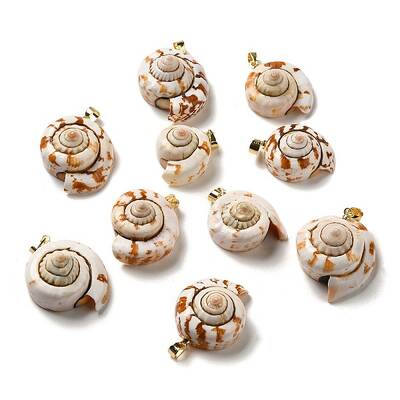 Natural Spiral Shell Pendants