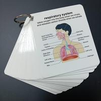 Human Body System Anatomy Card, 1 Set Medical & Nursing Learning Guide, Learning Card for Students, Gift for Students, Square