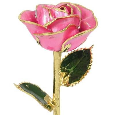 24k Gold Trimmed Rose: 11 Pink Rose