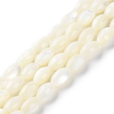 Natural Trochus Shell Beads Strands