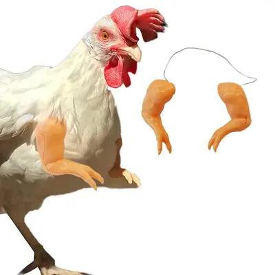 Chicken Arm Decor, 1 Count Dinosaur Humorous Pet Prop, Funny Chicken Arm for Chicken, Arm Decoration Suitable for Chicken Bod...