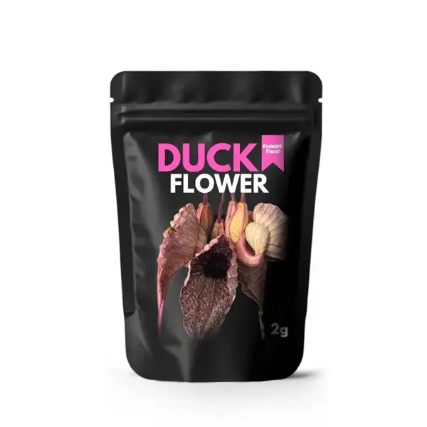 Wildcrafted Organic Duck Flower (full body detox)