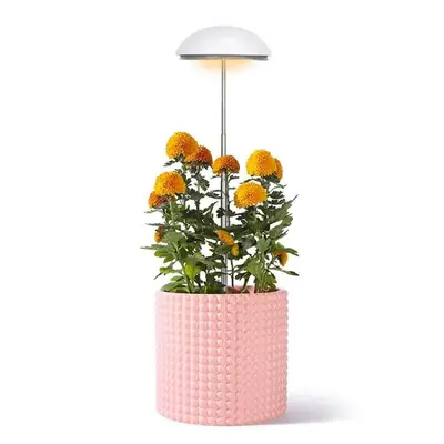 Plant Light Gardening Tools, 1 Set USB Full Spectrum LED Grow Light, 3 Timing Modes, Gardening Plant Lamp with Adjustable Br...