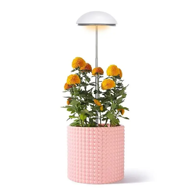 Plant Light Gardening Tools, 1 Set USB Full Spectrum LED Grow Light, 3 Timing Modes, Gardening Plant Lamp with Adjustable Br...