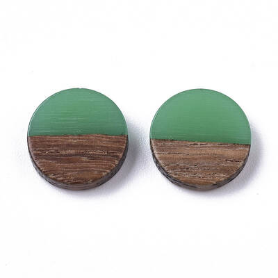Resin & Wood Cabochons