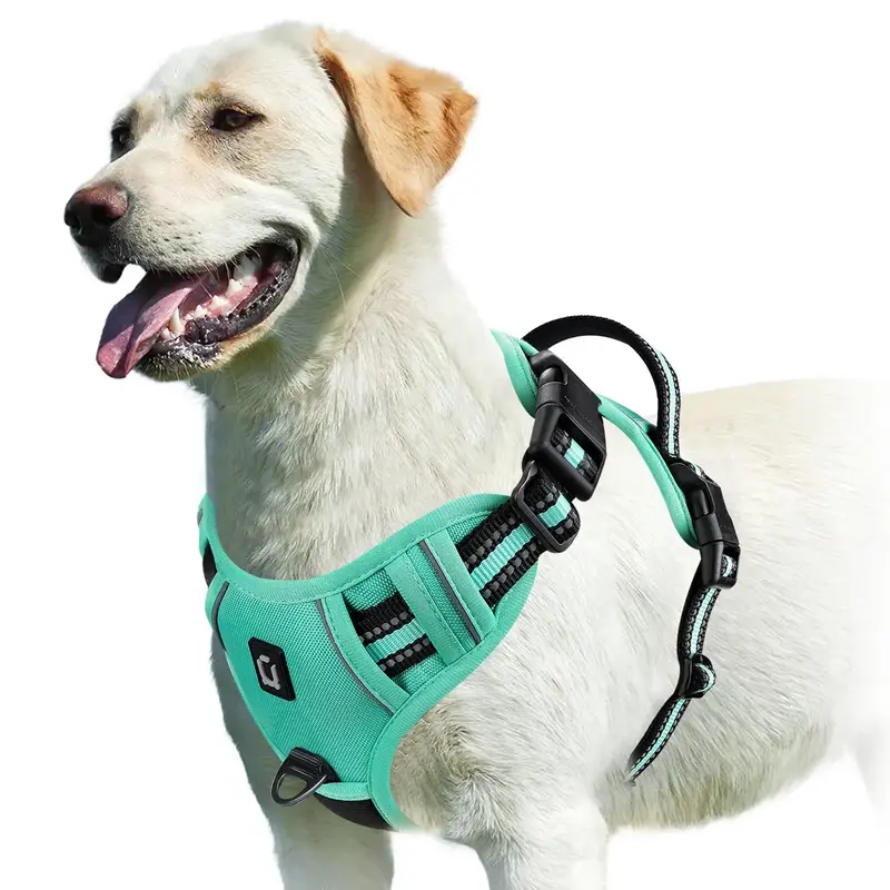 Dog Harness, No-Pull Pet Harness with 2 Leash Clips, Adjustable Soft Padded Dog Vest, Reflective No-Choke Pet Oxford Vest wit...