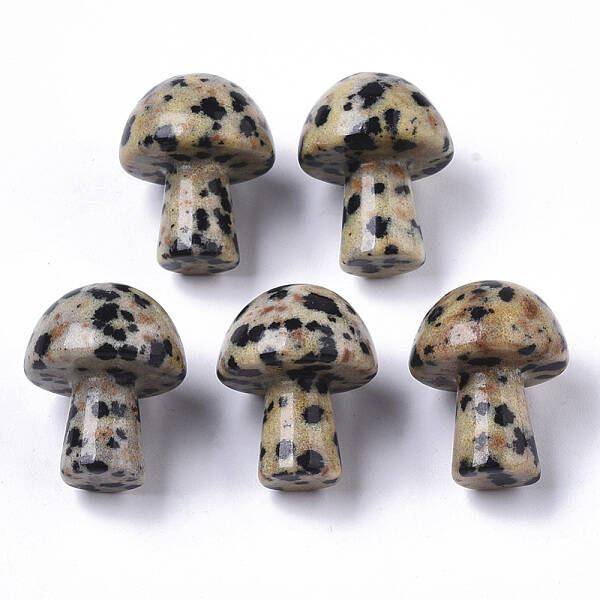Natural Dalmatian Jasper GuaSha Stone