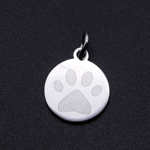 Non-Tarnish 201 Stainless Steel Pet Charms