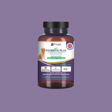 Pet Probiotic Plus with Added Inulin & Psyllium Husk 2 Billion CFU with 5 Active Strains I 60 Chicken Flavour Chewable Tablet...