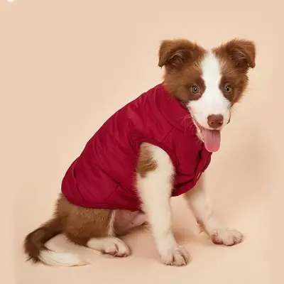 Fleeced Lined Dog Coat, Winter Warm Jacket with Buttons for Small Medium Large Dogs, Windproof Puppy Dog Winter Vest, Pet Col...