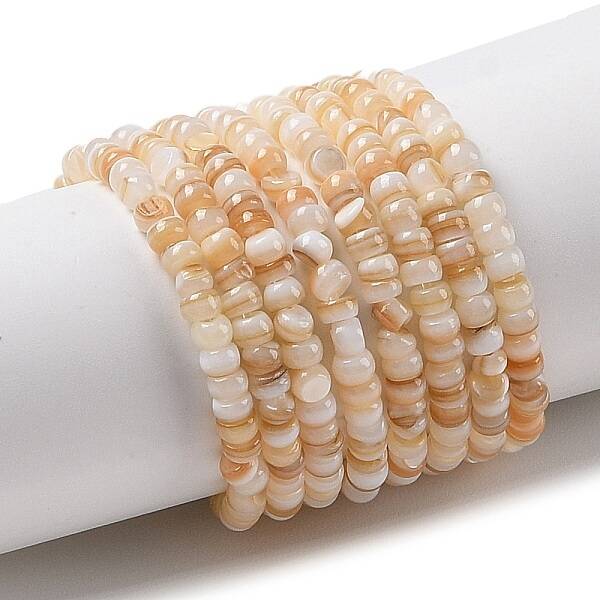 Natural Freshwater Shell Beads Strands